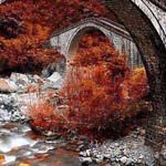 ���� ������ ���� ������