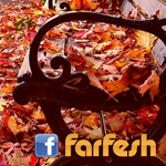 ���� ���� ������