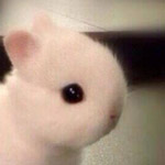 ������...