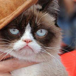 �� ���� �����