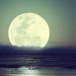 ����� ����� ��� ��