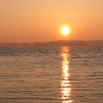 ���� �������