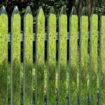 ���� �� ��� ������