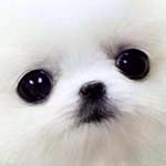 ��� ��� ����������� ������