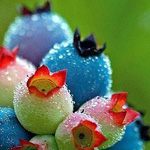 ������ ��� �� �����