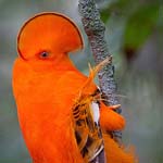 ���� ������� �� ��� ������