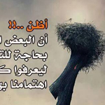 صورة 4 اقوال وطرائف