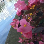 �� ����� ������� ������ �� ���� �������