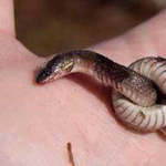 ����� ���� �������� ������ ���� ����� ��� ���� ��� ����� ������� ����� �� ����� ��� ����