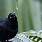 ����� �� ���� ���� ����