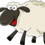 ���� ����