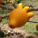 ����� ������ ������ ������ ������� ��...