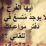 ���� ������ �����