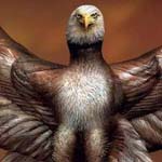 �� ���� �� ���� �����