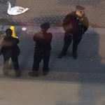 ���� �������� ������ ������ ���� ���� ����