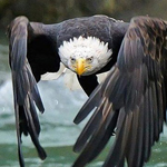 ���� ���� ��� �����