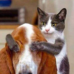 ���� ����� ��� ��� 