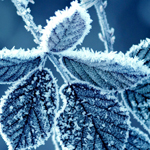 �� ���� �������������