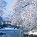 ���� ������ ������ ������� �������