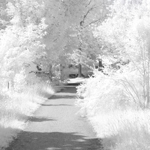 ����� ������ ���� ����� ��� ������ ���