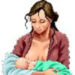 ���� ����� ������