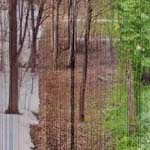 ��� ������ ����� �� 3888 ���� �� ��� ������ 