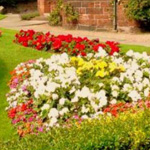 ��� �� �������