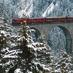 ���� ���� ����� ����