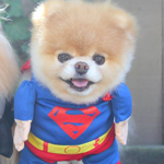 ���� ������� :-)