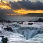 ���� ������� ������