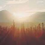 ���� �� ���� �� ����