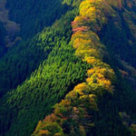 ����� �� ����� ������ �� �������