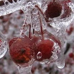 ���� ���� ������