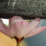 ��� ���� ��� ������� ����� ���� ���� �� ����� ��� ����