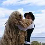 ��� �������� - �� �� ���� ����� ����� ���� ���� �����.