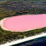 ����� �����  �� ��������