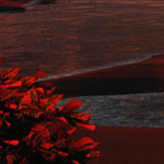 ������ ��� ������ ������ ������� ��� �����