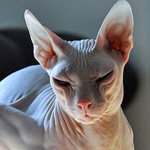 ���� �������� �� ���� �� ��� ����� ���� �������