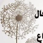 ����� ������ ������� �������� �������...