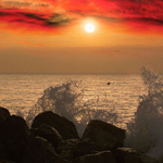 �� ���� ���� �� ��� ������ ������