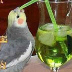 ������ ����� ���� ������� �� ������� ���