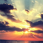 ���� ����� �� ���� ������� ����� ? ���� ���