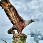 �� ����� ������ ���������