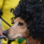 ��� �� ����� ����� ��������