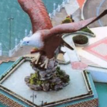 ��� ����� �������� ��������