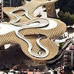 ���� ����