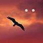 ��� ������ ��� ���� ���� ���� �� ������