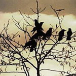 ����� ���� ���� ����� ��� ����� ����� ������� �� ����� �� ����