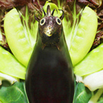 ���� ��� �� ���� ���������