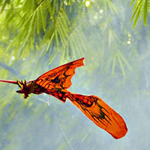 ����� ����� ��� ���� ������� ��������� ��������